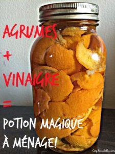 Comment faire un nettoyant maison à l'orange - Cinq Fourchettes