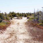 La gastronomie des Îles-de-la-Madeleine Cinq Fourchettes