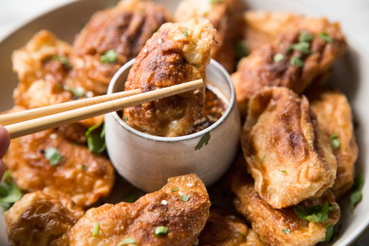 dumplings frits poulet recette bouchées Cinq Fourchettes