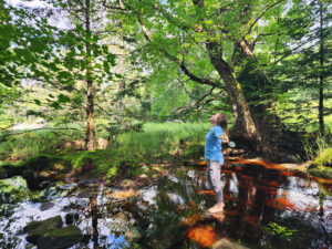 une cocotte dans les bois récit personnel Trout Point Lodge Nova Scotia Nouvelle Écosse Forest Bathing Cinq Fourchettes